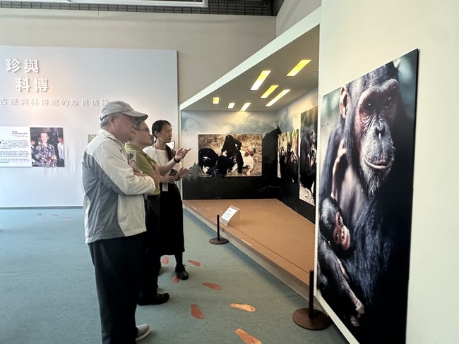 珍古德辭世　科博館推「珍與科博」紀念微型展 | 華視新聞