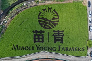 苗縣青農聯誼會慶10週年　稻田彩繪傳達農業創新