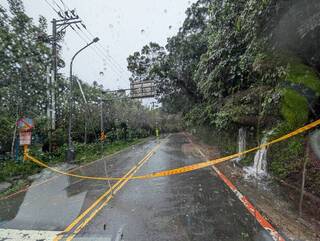 北市風雨不斷　陽明山土石滑落、路樹傾倒