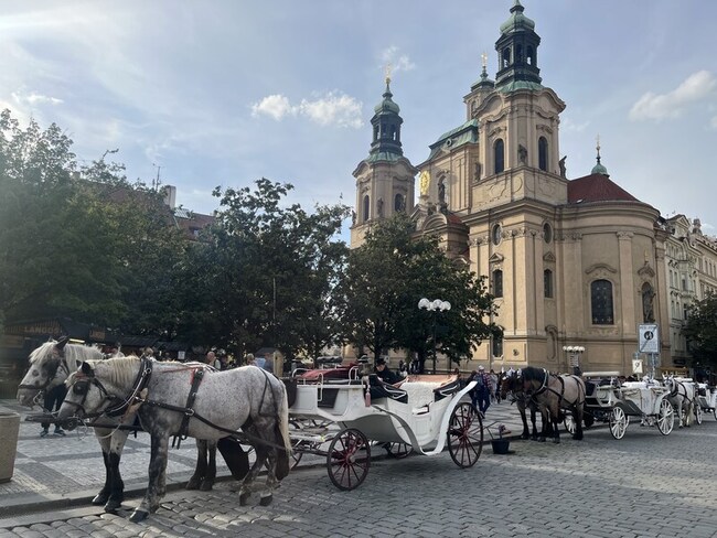 布拉格市中心將禁馬車營運　共享電動滑板車也將退場 | 華視新聞