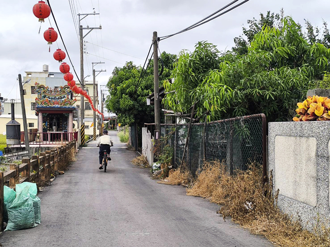 台中養豬場疑非洲豬瘟　老農嘆破產、兒子找工作 | 華視新聞
