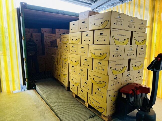 高雄香蕉搶攻外銷市場　每週穩定供貨新加坡 | 華視新聞