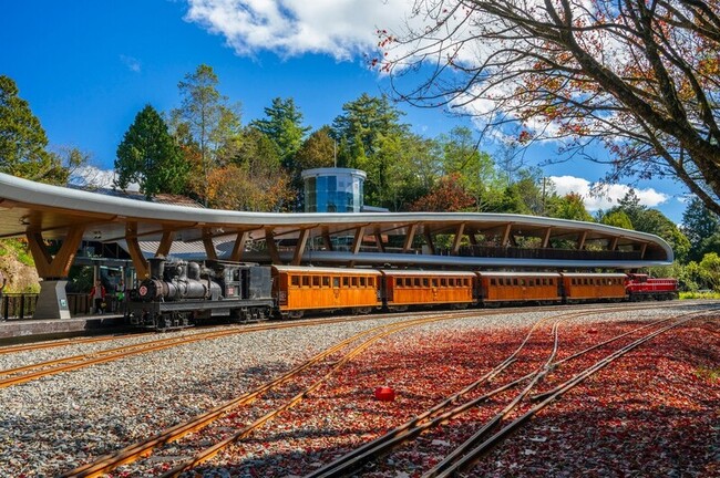 阿里山林鐵賞楓列車季節限定　11/18開放訂票 | 華視新聞