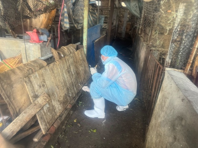 台中染非洲豬瘟案例場環境髒亂　呼籲民眾勿靠近 | 華視新聞