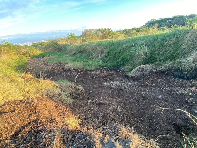 議員指廚餘處理政策急轉彎　中市：依中央指引辦理 | 華視新聞