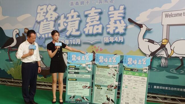 千隻黑面琵鷺現身　「鷺境嘉義」親子賞鳥季將登場 | 華視新聞