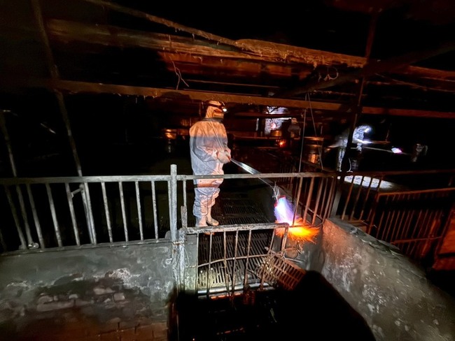 非洲豬瘟案場火焰槍清消  環境部加強稽查禁廚餘 | 華視新聞