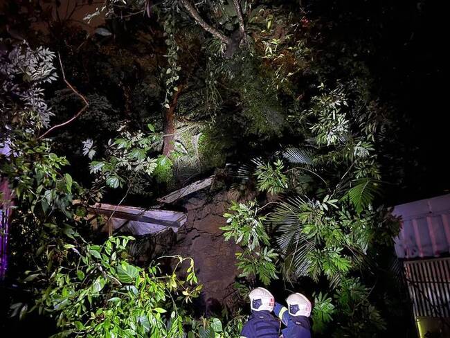 台北南港舊莊街邊坡坍方老樹滑落　幸無人受傷 | 華視新聞