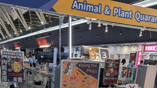 非洲豬瘟邊境檢疫　入境旅客不分紅綠線均查核 | 華視新聞