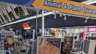 非洲豬瘟邊境檢疫　入境旅客不分紅綠線均查核