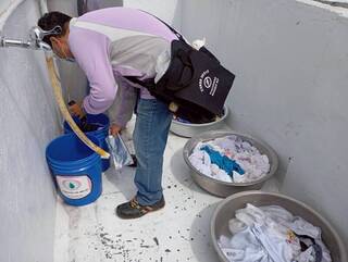 登革熱四型病毒台南全現身　感染源來自東南亞