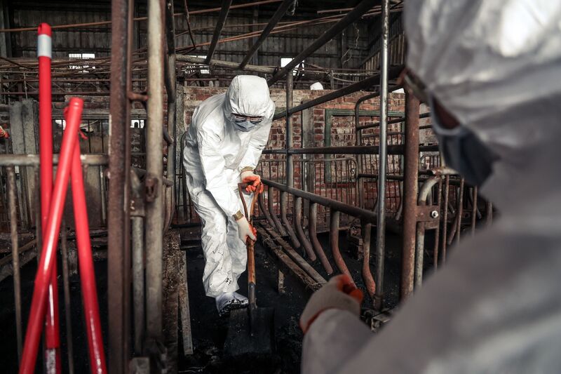 台中非洲豬瘟案場環境髒亂 國軍協助清潔(1)