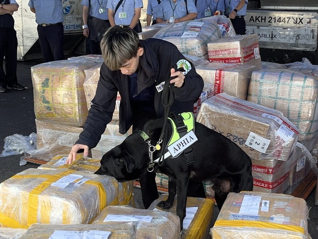 加強非洲豬瘟邊境管制 臺北關聯合防檢署查緝快遞 | 華視新聞
