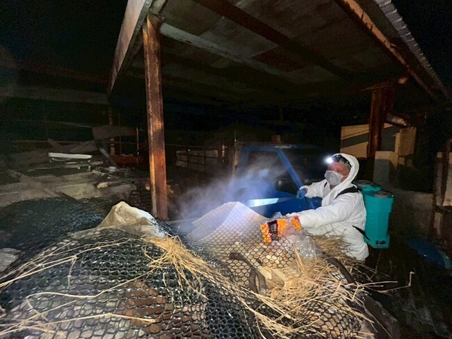 非洲豬瘟案場污泥最厚10公分　十軍團145人次馳援 | 華視新聞