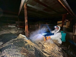 非洲豬瘟案場污泥最厚10公分　十軍團145人次馳援