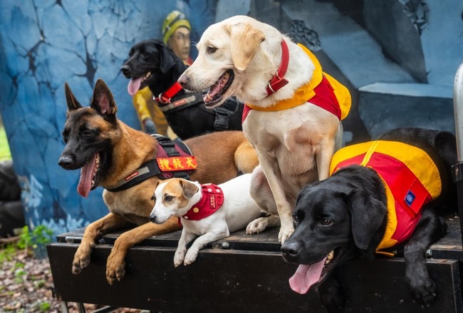 屏東搜救犬飼料費低賴民間捐贈　議員籲增預算保障 | 華視新聞