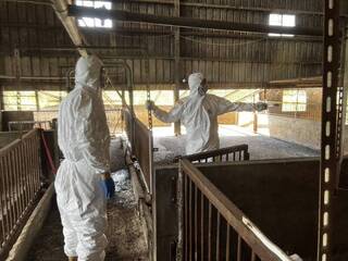 非洲豬瘟　台中市府清消採檢豬農住家10處皆陰性