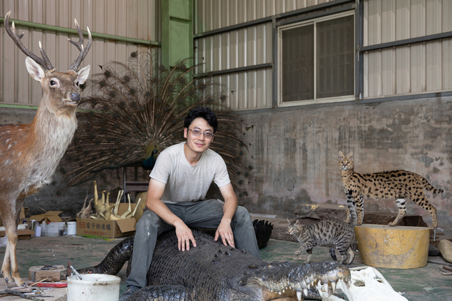 標本製作留住靈光 文總「匠人魂」揭標本師職業面紗 | 華視新聞