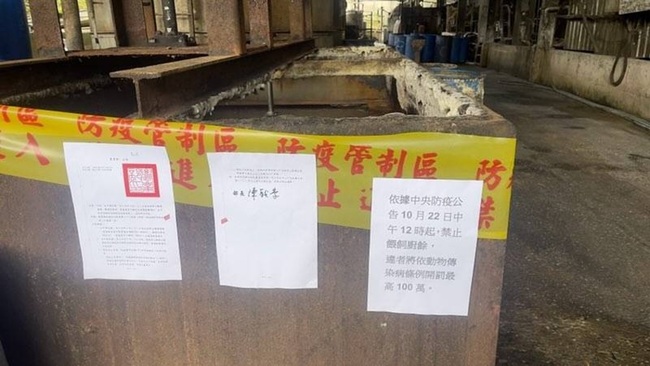 新北查獲違規餵食廚餘兩養豬場　重罰並禁上市 | 華視新聞