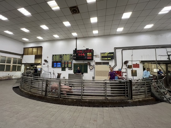 台中大安肉品市場成交629頭豬　8日早市可買溫體肉 | 華視新聞