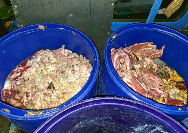 林口違規廚餘養豬  新北：勤查重罰防弊 | 華視新聞