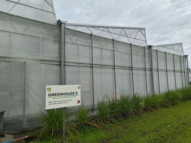 超級颱風鳳凰撲向呂宋  台灣示範農場啟動防颱機制 | 華視新聞