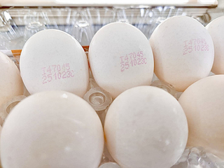 全聯：配合下架芬普尼雞蛋　持發票可原店退貨