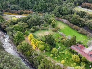 颱風鳳凰逼近　武陵農場11日下午2時起休園