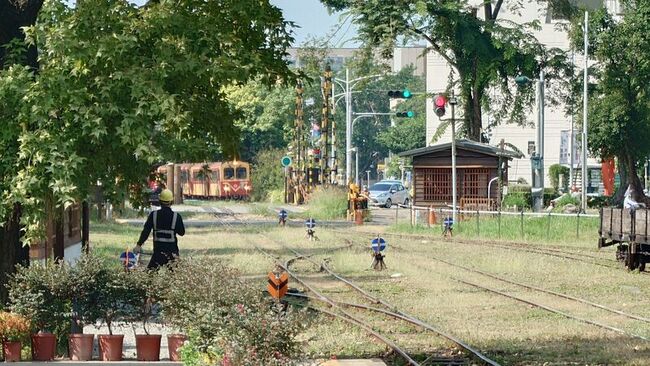 颱風來襲  阿里山林鐵11日上山及12、13日全線停駛 | 華視新聞