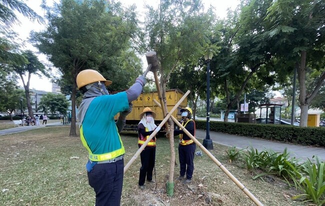 颱風鳳凰來襲　高市府籲停放樹下車輛駛離 | 華視新聞