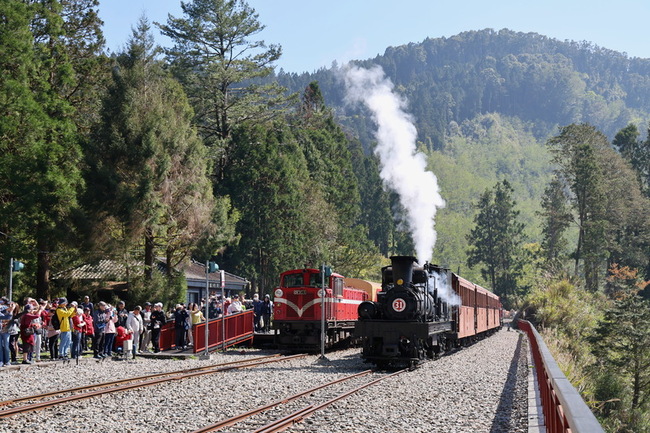 第二屆觀光亮點獎  阿里山林鐵獲選最佳國際推薦獎 | 華視新聞
