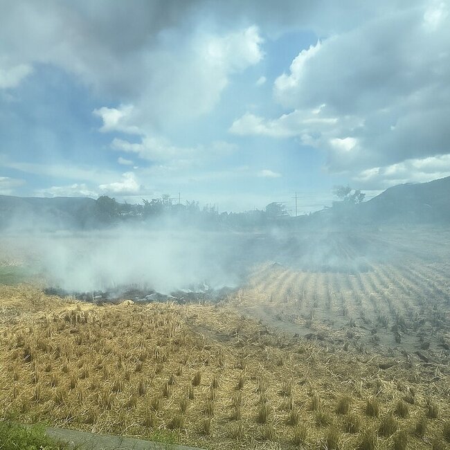 逾6千公頃稻陸續收割　台東縣府籲勿露天燃燒稻草 | 華視新聞