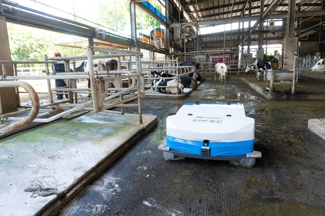 首台國產乳牛清糞機器人  年省37萬元並節水 | 華視新聞