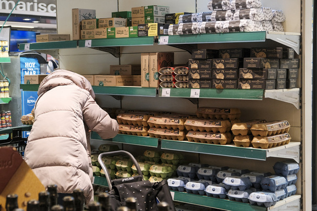 西班牙禽流感爆發推升蛋價　當局加強防疫規定圈養 | 華視新聞