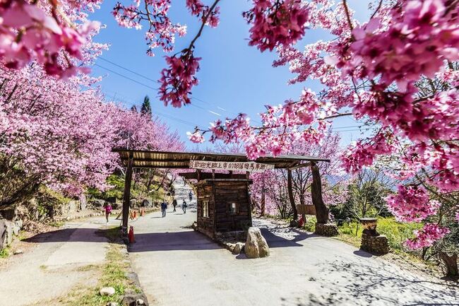 竹縣觀光魅力　司馬庫斯、峨眉湖入選推薦亮點 | 華視新聞