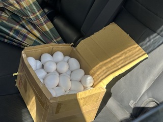 中市蛋行賣芬普尼蛋民眾退貨撲空　網友標註賣毒蛋