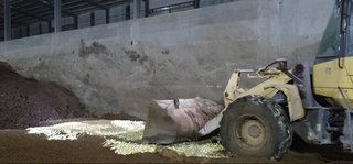 彰化文雅畜牧場驗出芬普尼超標 場內25萬顆雞蛋銷毀