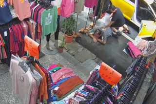 航警局破跨國走私毒品集團　刑期逾50年通緝犯落網