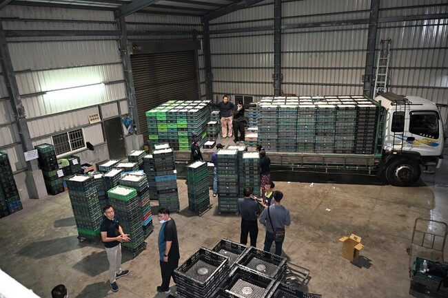 彰化文雅畜牧場出貨近6萬顆蛋　部分銷往新北被銷毀 | 華視新聞