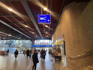 布拉格長期面臨公廁不足　擬全面擴建改善城市整潔