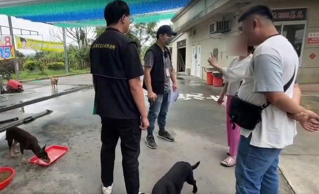 婦人餵養遊蕩犬傷人屢勸不聽　遭嘉縣府罰鍰提告 | 華視新聞