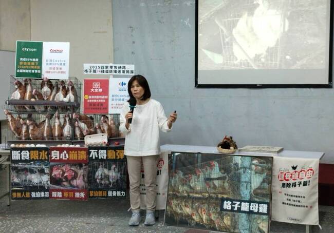 動保團體倡非籠飼雞蛋　調查7品牌通路僅1全達標 | 華視新聞