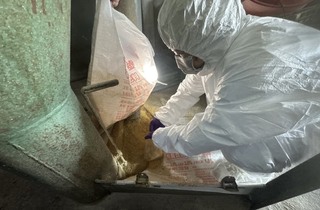 彰化啟動芬普尼監測　先採樣15家高風險蛋雞場