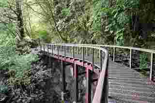 特富野古道設施改善工程  獲永續與環境美學獎