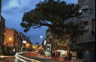 花蓮富里鄉百年榕樹枯死　居民不捨道別