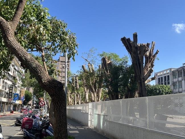 蘭州國中疑為蓋風雨球場斷頭整排校樹  北市允釐清 | 華視新聞