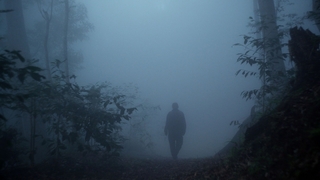 大造林紀錄片「複層之森」 交織一層又一層林班故事