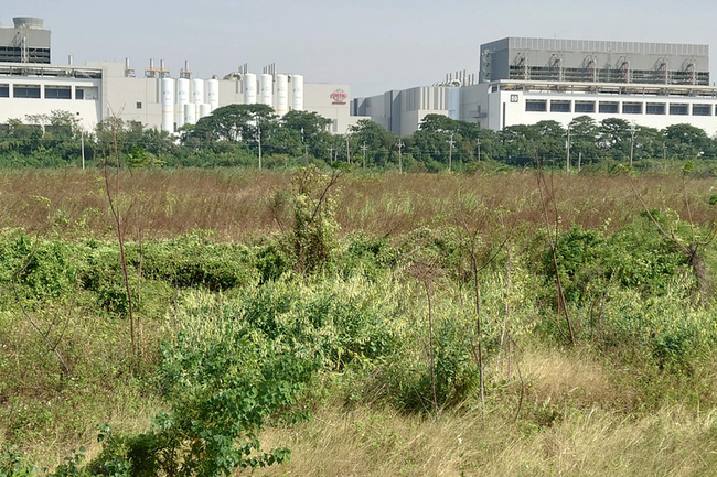 傳台積電擬於南科特定區設廠　南市府：未接獲訊息 | 華視新聞