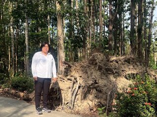 嘉義樹木園修復礙於經費卡關　王美惠爭取解套