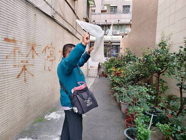 監測31天未出現本土病例　台南登革熱疫情解除 | 華視新聞